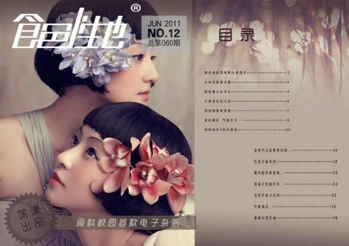 期刊內刊雜志